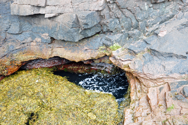 Thunder Hole at Acadia National Park